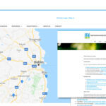 Web Management